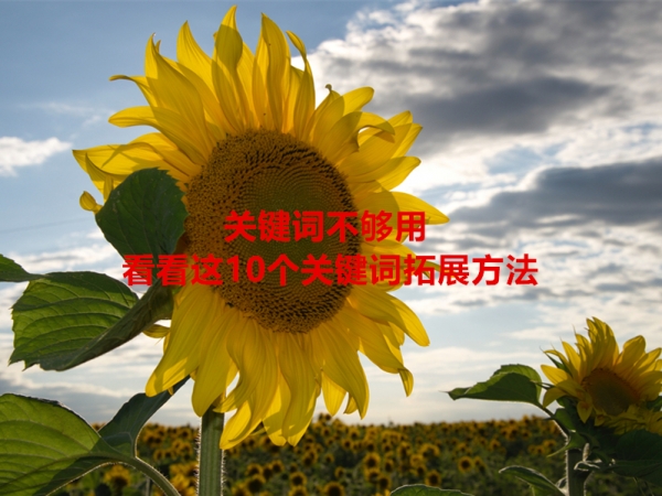 關(guān)鍵詞不夠用，看看這10個關(guān)鍵詞拓展方法！